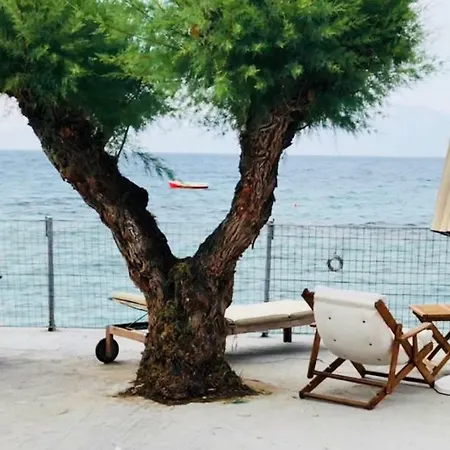Kamari Beach House شقة