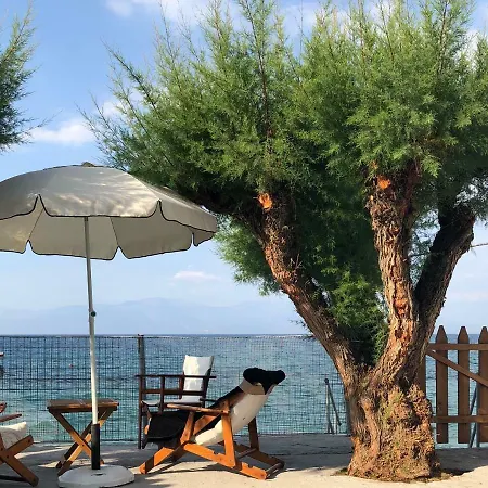 Kamari Beach House شقة