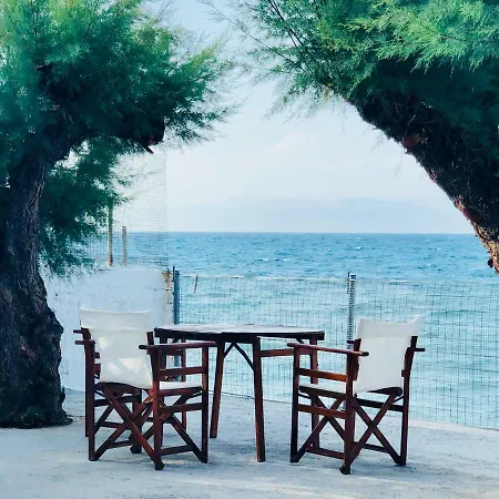 Kamari Beach House * غزيلوكاسترون