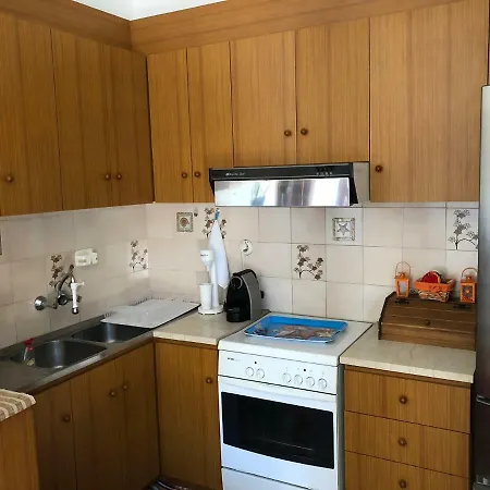 شقة Kamari Beach House غزيلوكاسترون